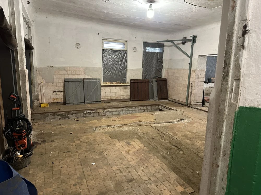 Garage, workshop, premises under car repair shop with territory, tire shop