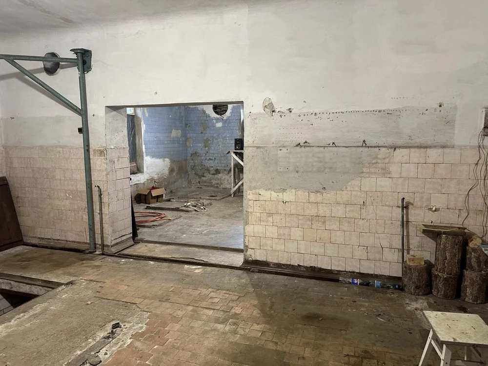 Garage, workshop, premises under car repair shop with territory, tire shop
