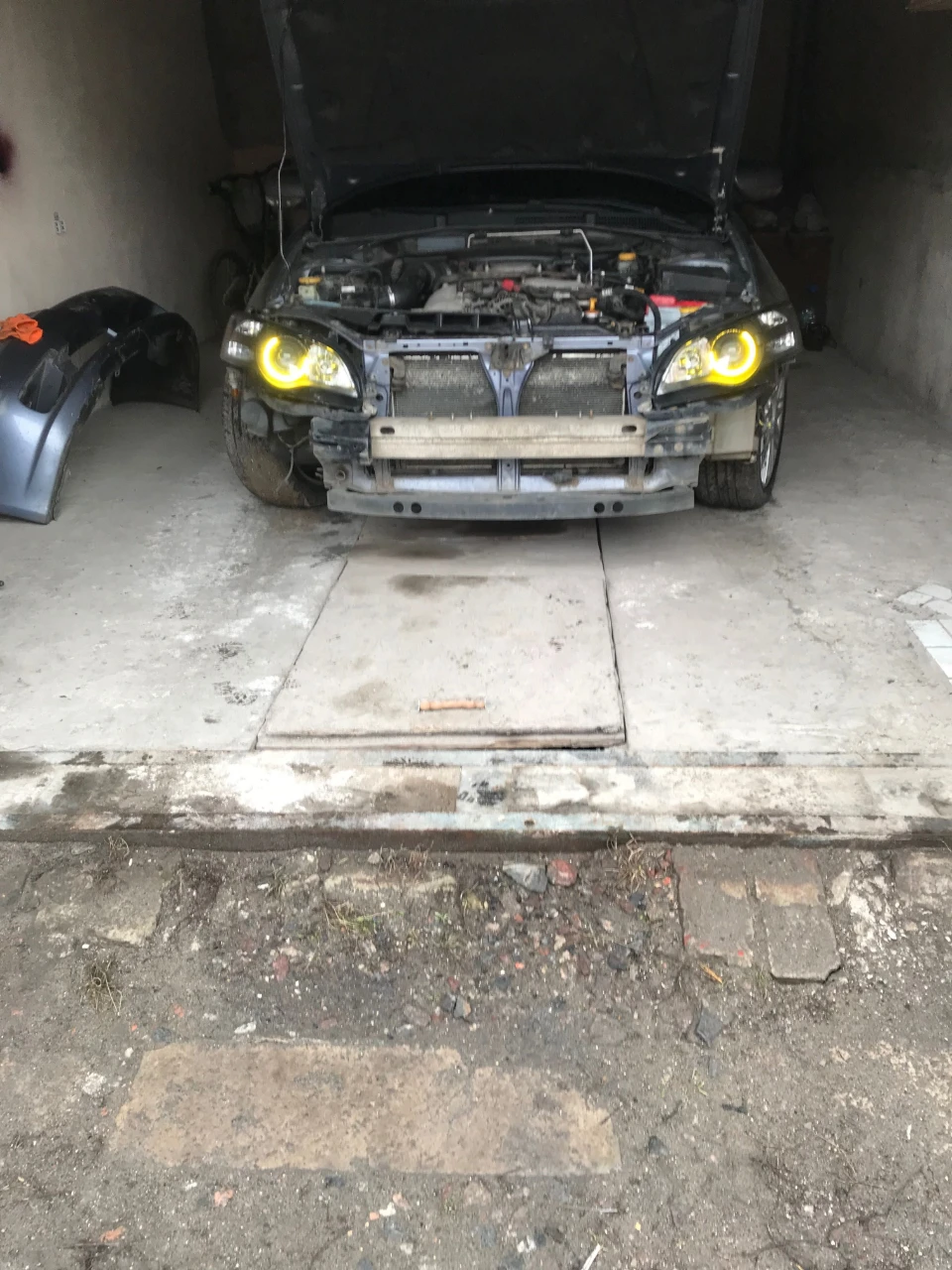 Garage with a grape vine