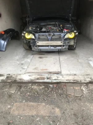 Garage with a grape vine