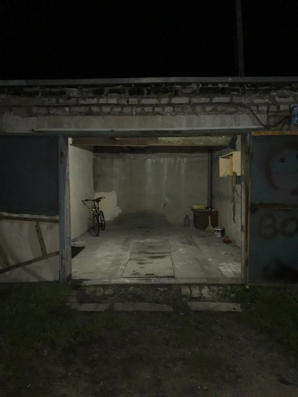 Garage with a grape vine
