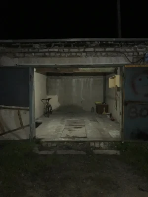 Garage with a grape vine