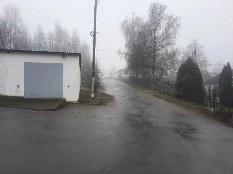 For Sale: Garage (area "Zelenyi")