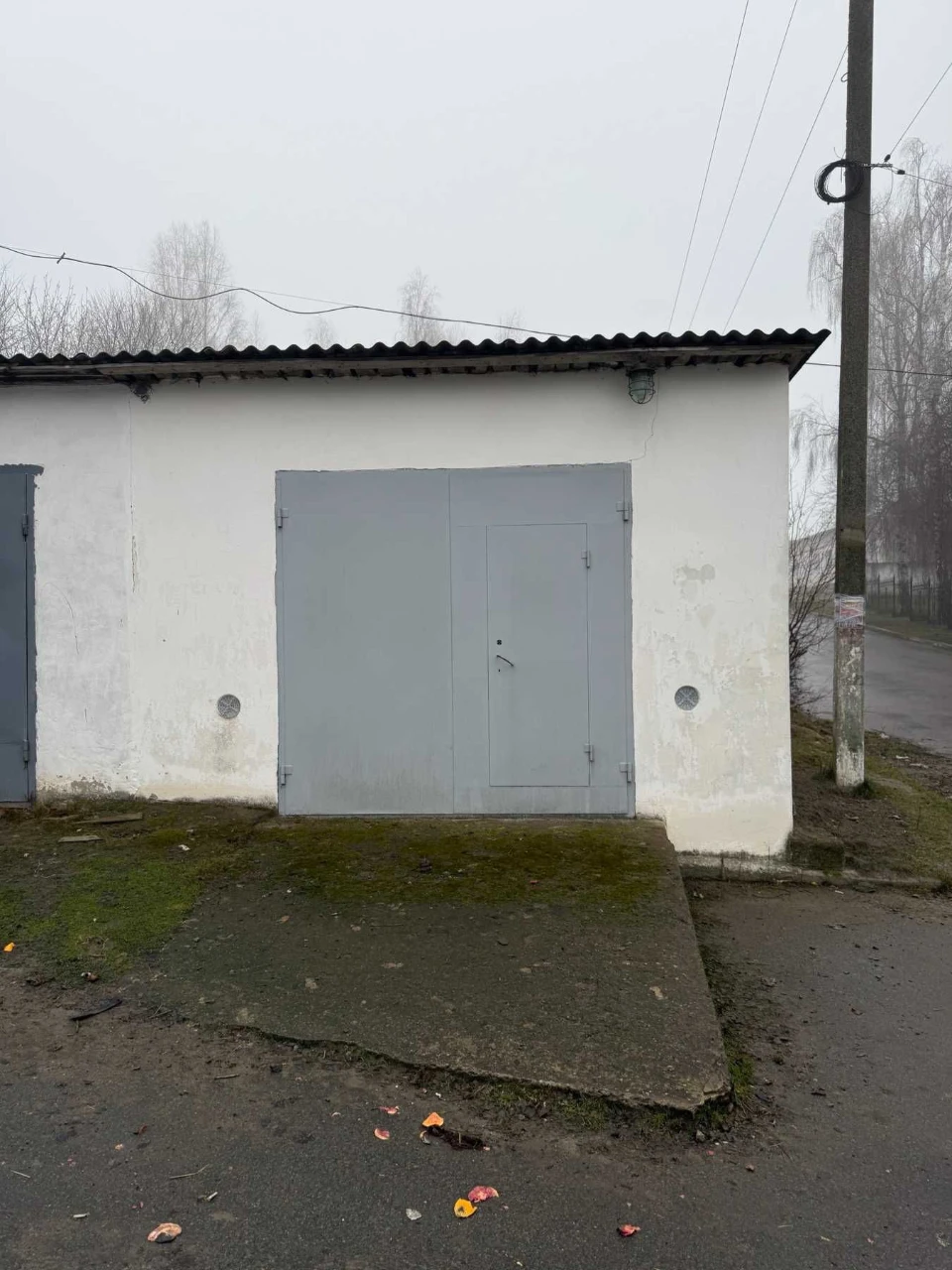For Sale: Garage (area "Zelenyi")