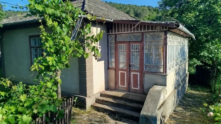 Продається будинок в с. Немія