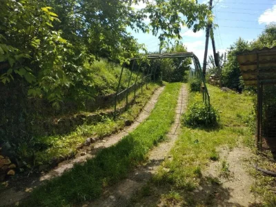 Житловий будинок із господарчими будівлями та земельною діля
