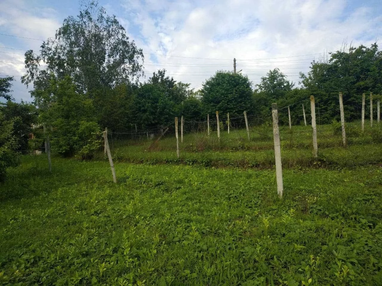 Житловий будинок із господарчими будівлями та земельною діля