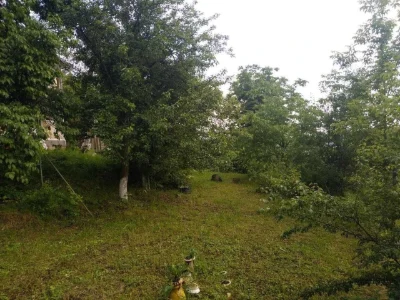Житловий будинок із господарчими будівлями та земельною діля