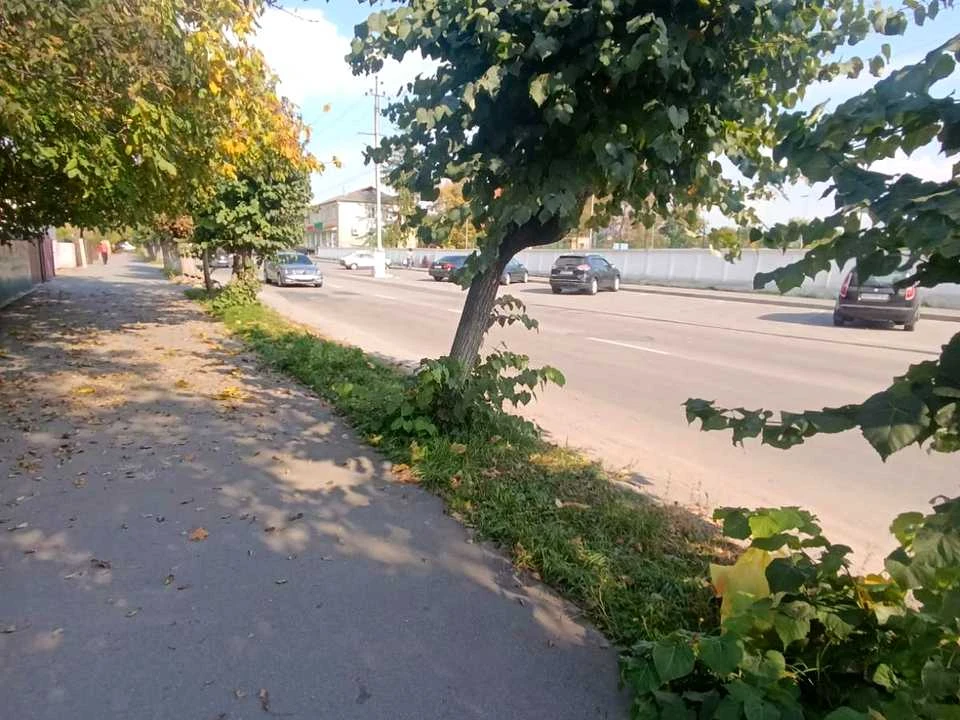 Будинок. Немирів, Соборна вул.