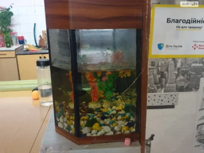 Продаж Дім
