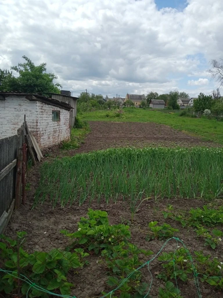 Продам будинок і земельну ділянку 26 сот