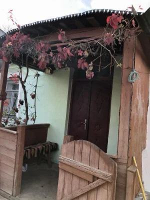 Будинок з власним садом та городом