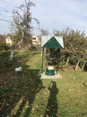 Будинок з власним садом та городом