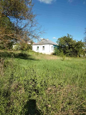 House in Vinnytsia