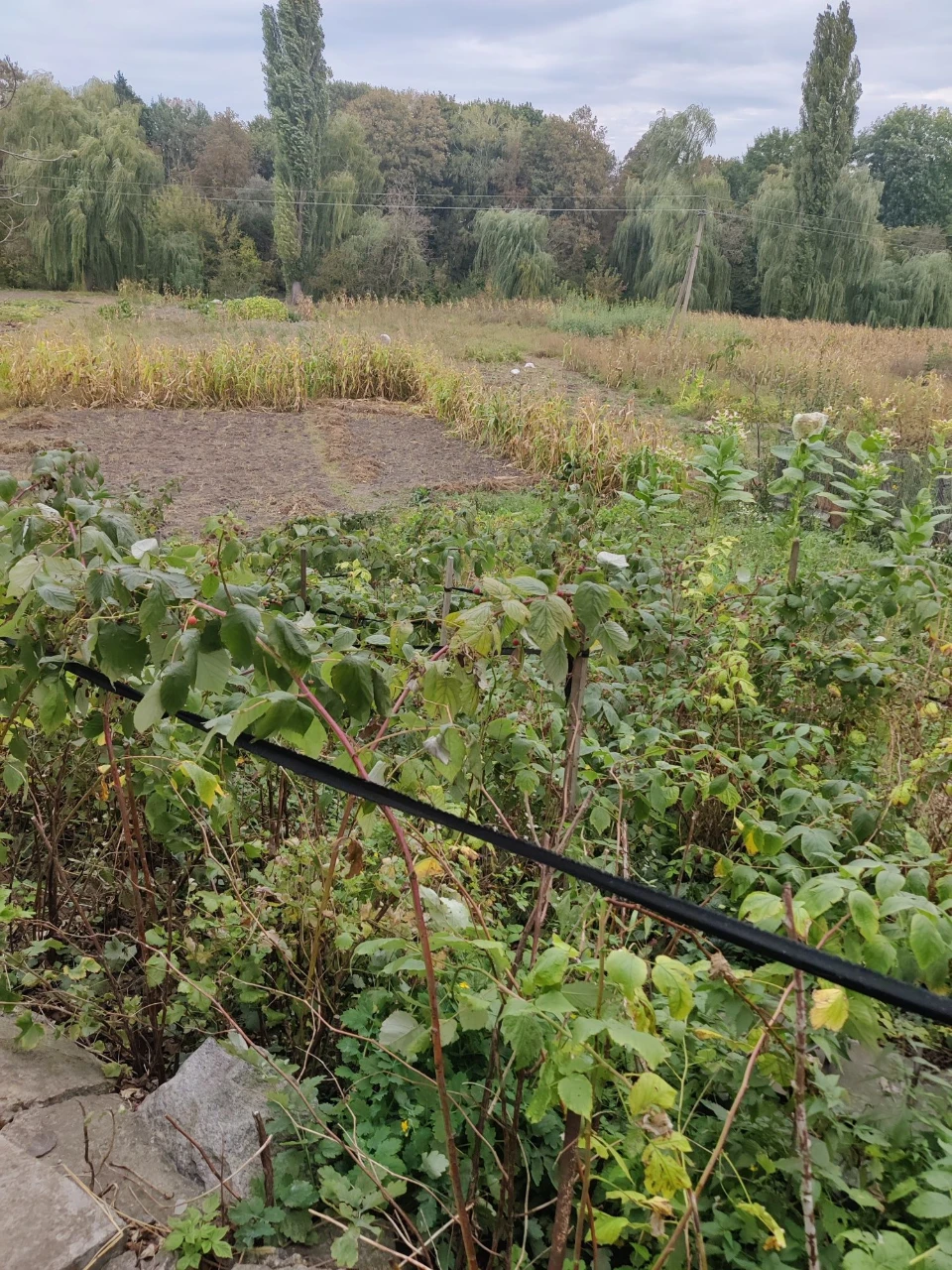 Продам будинок в Хмільнику
