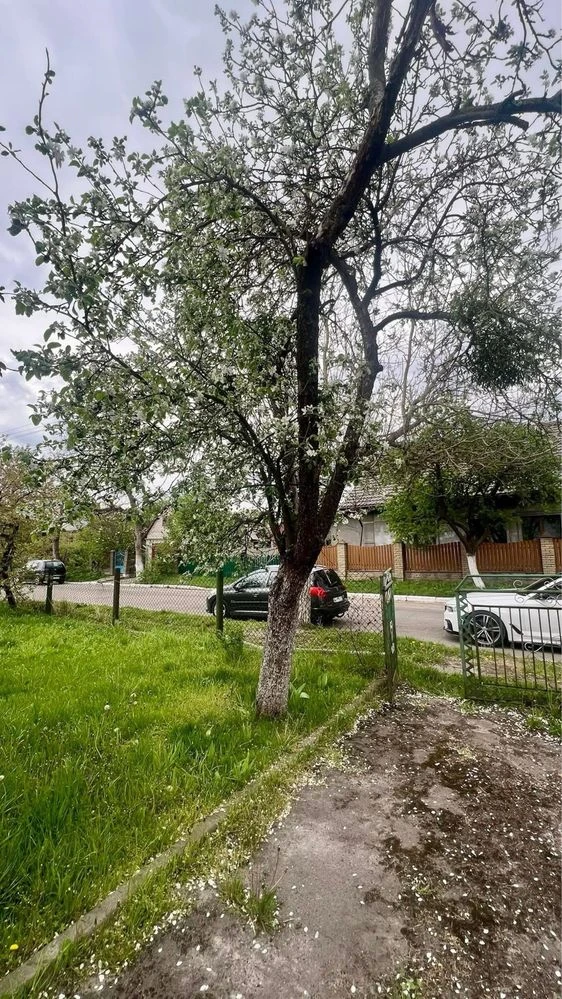 Будинок в м. Ківерці