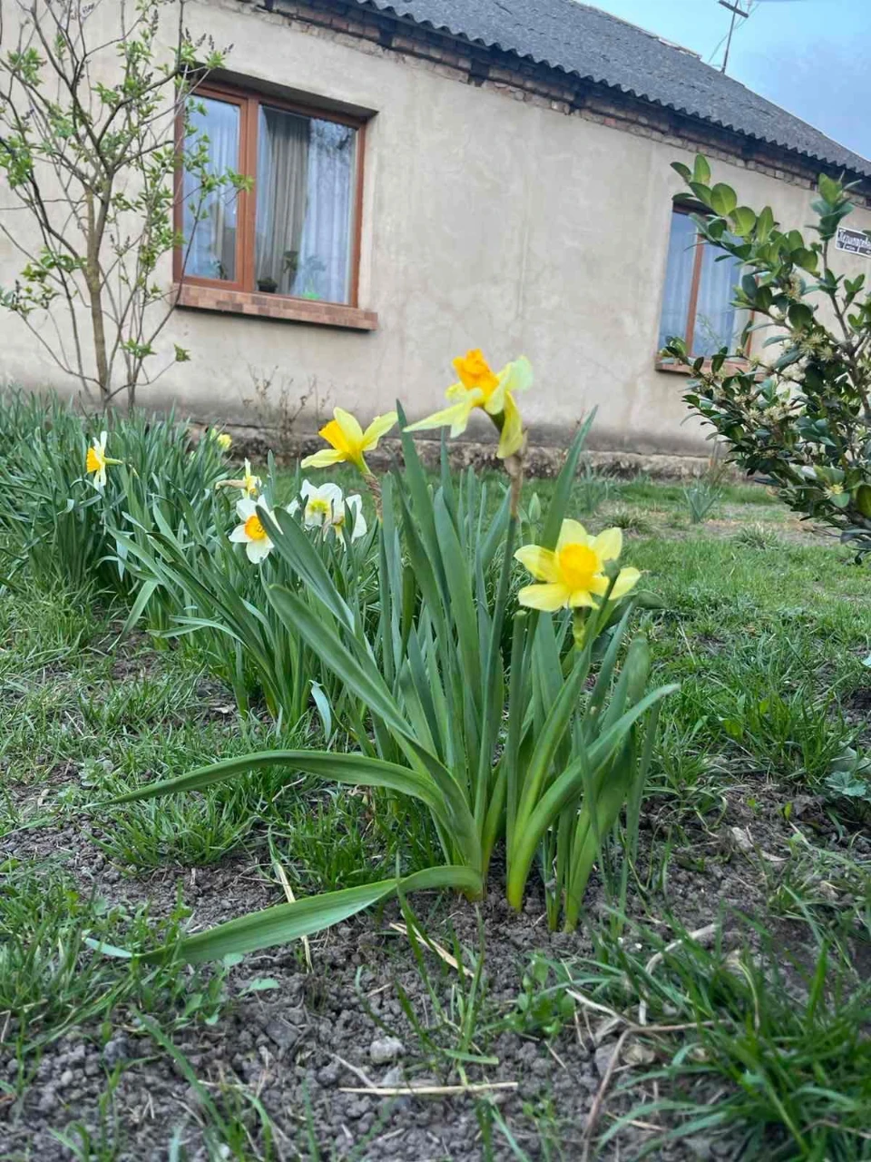Продається будинок