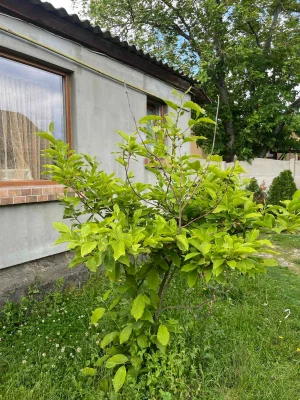 Продається будинок