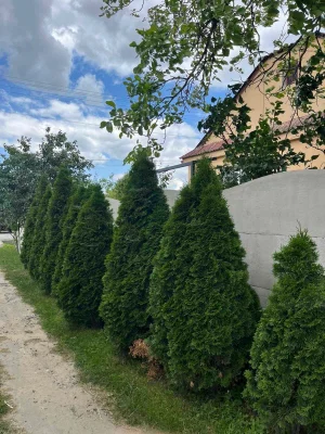 Продається будинок
