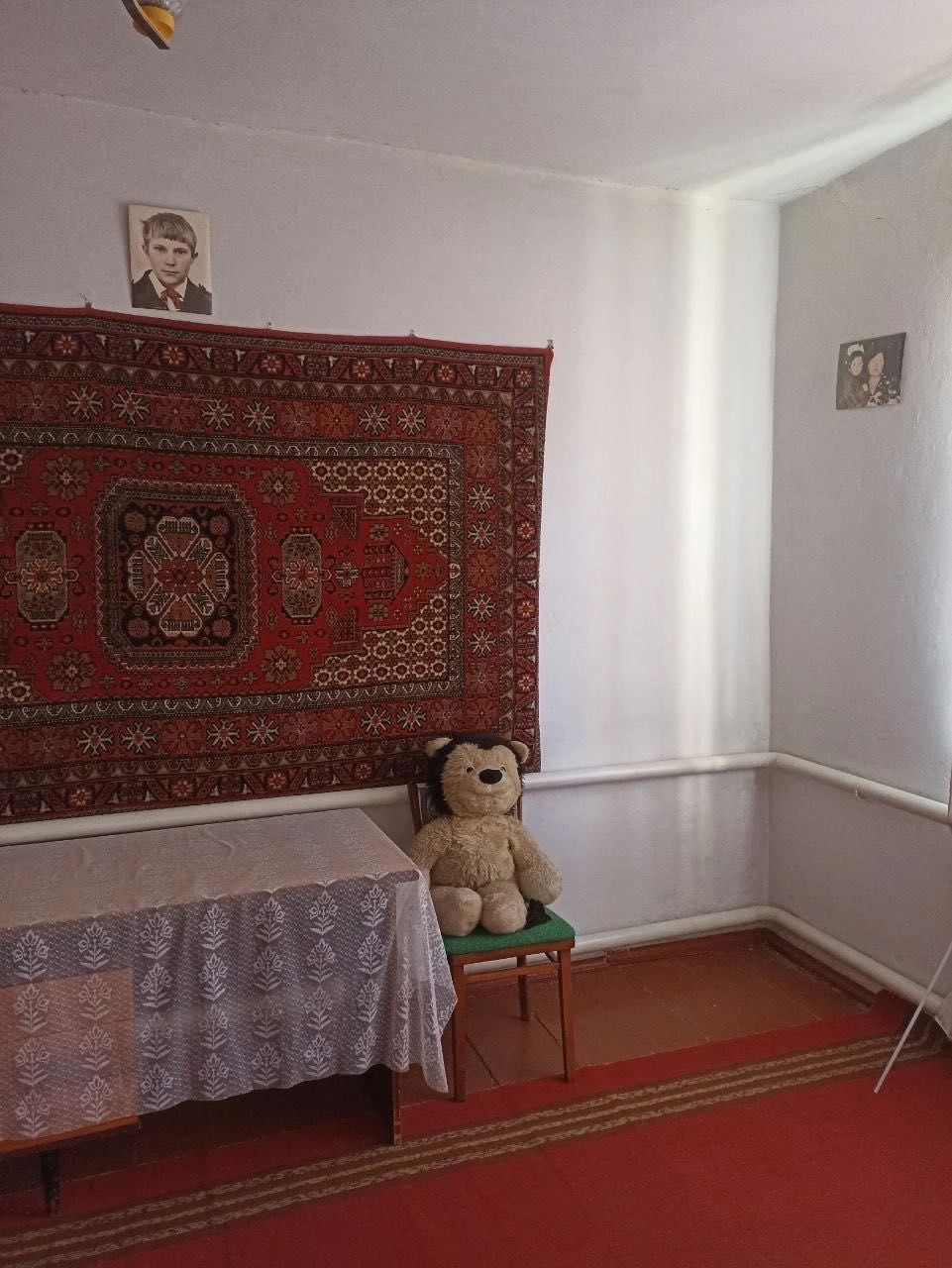 Продається будинок м. Апостолове