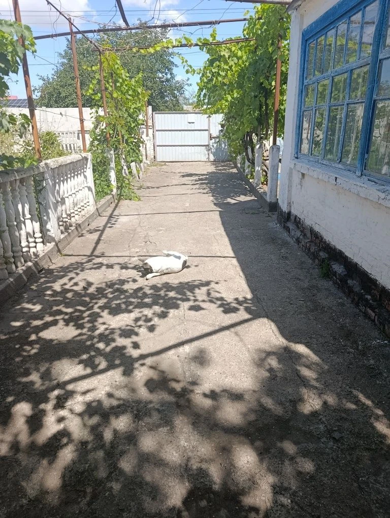 Продается дом в  г.Апостолово