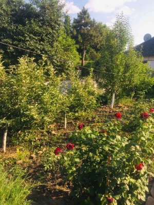 Продам дом в г. Апостолово