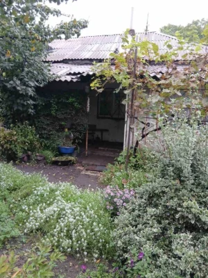 Продам дом в районе городского парка.