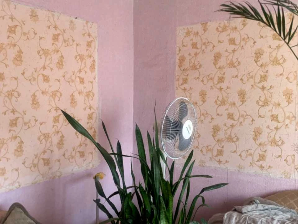 Будинок. Кам'янське, Авдіївська вул.