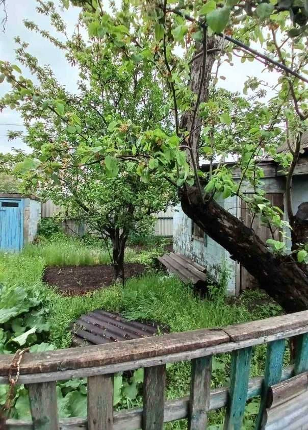 Продам Дом с земельным участком  в Романково