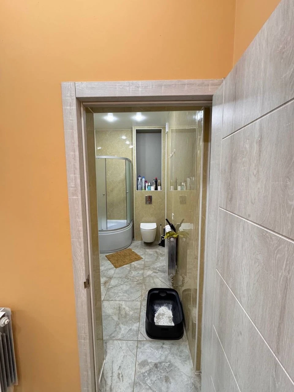 Продається будинок, 55 блочок, Кам'янське