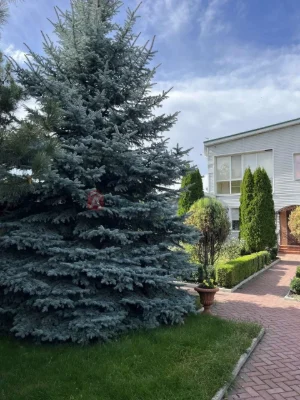 Будинок у Ромавнково, укомплектований
