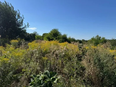 For Sale: Country House, Upper Gardens