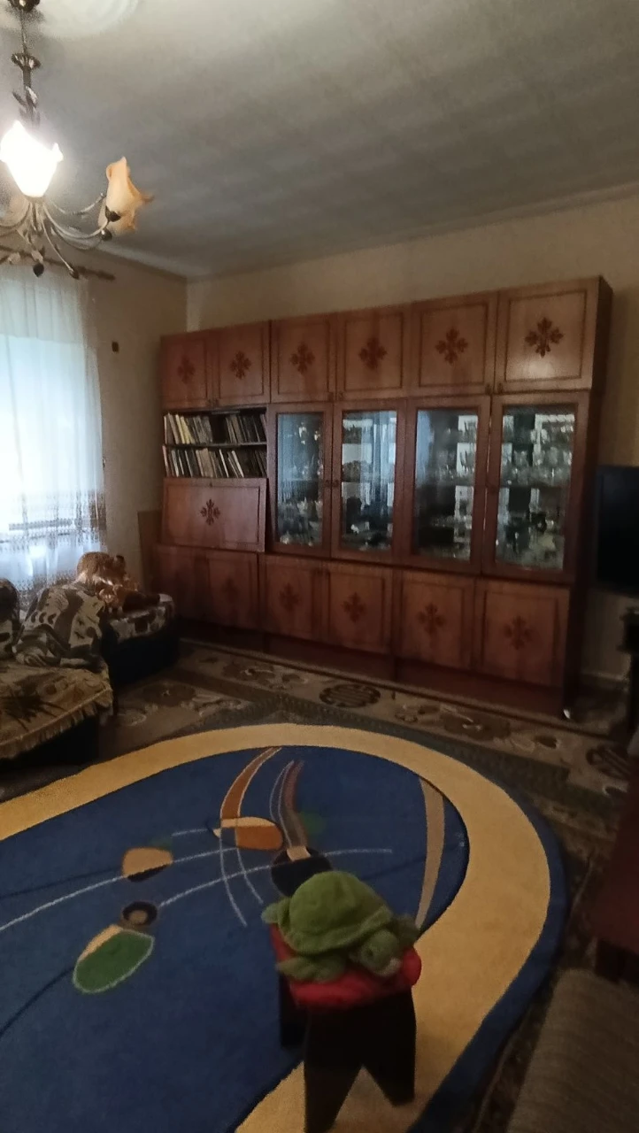 Продається будинок на Бамі