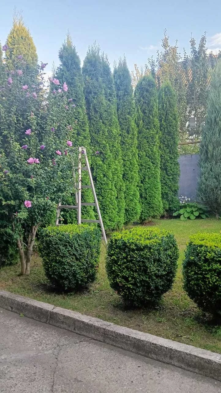 Продам дом в Романково