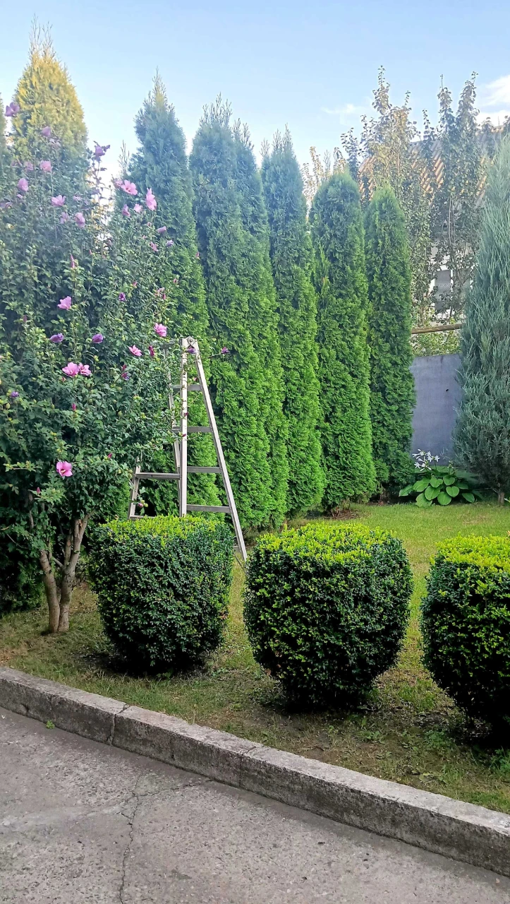 Продам дом в Романково