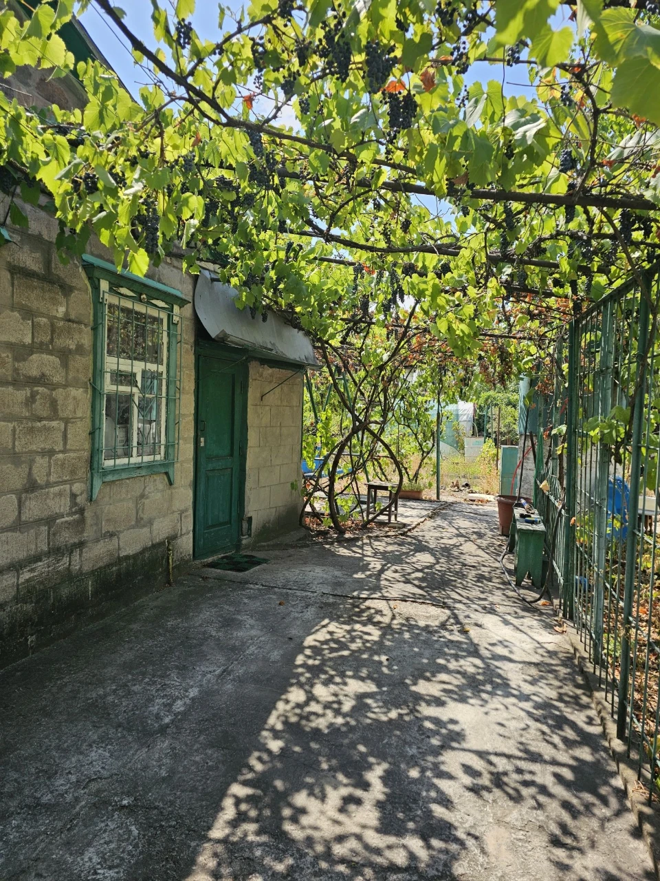 Дача на плотине  общество "днепр"
