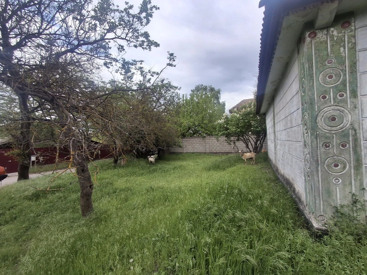 Продам дом с участком 15 соток