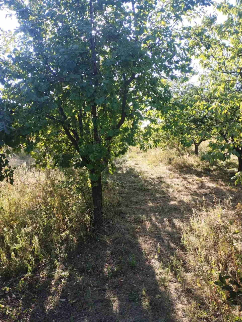 Продаётся дом 7 км от Каменского, mar