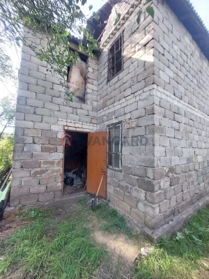 Дача в сосновому лісі