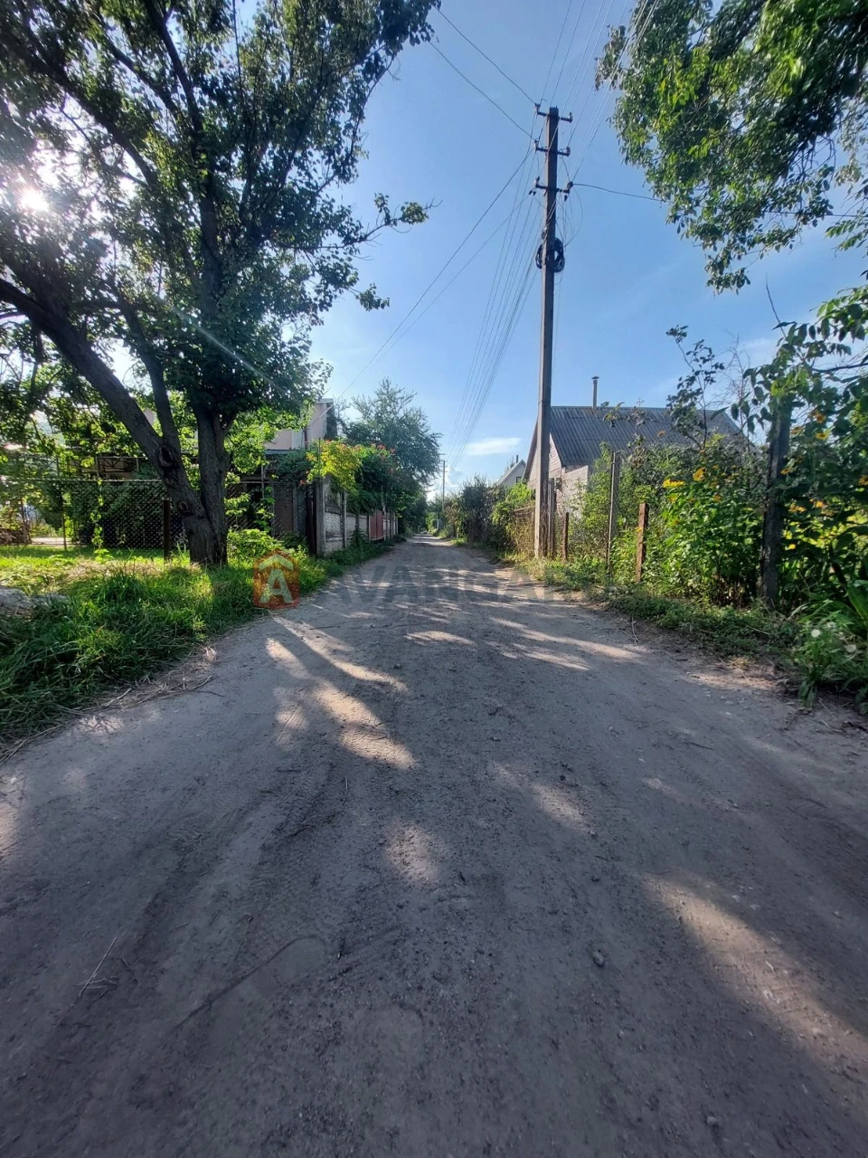 Дача в сосновому лісі