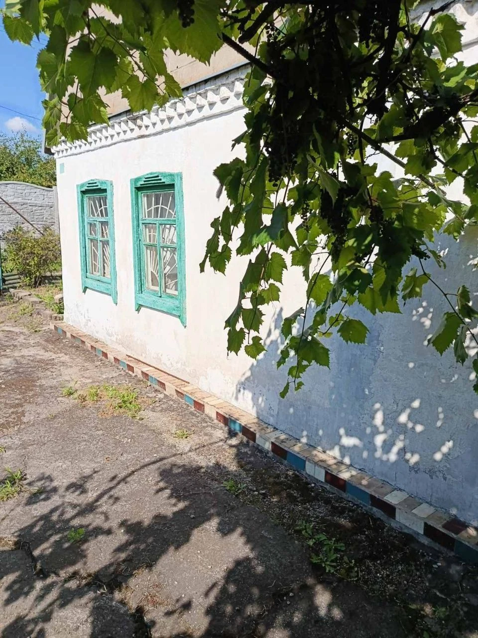 Дача с.о Днепр калоша