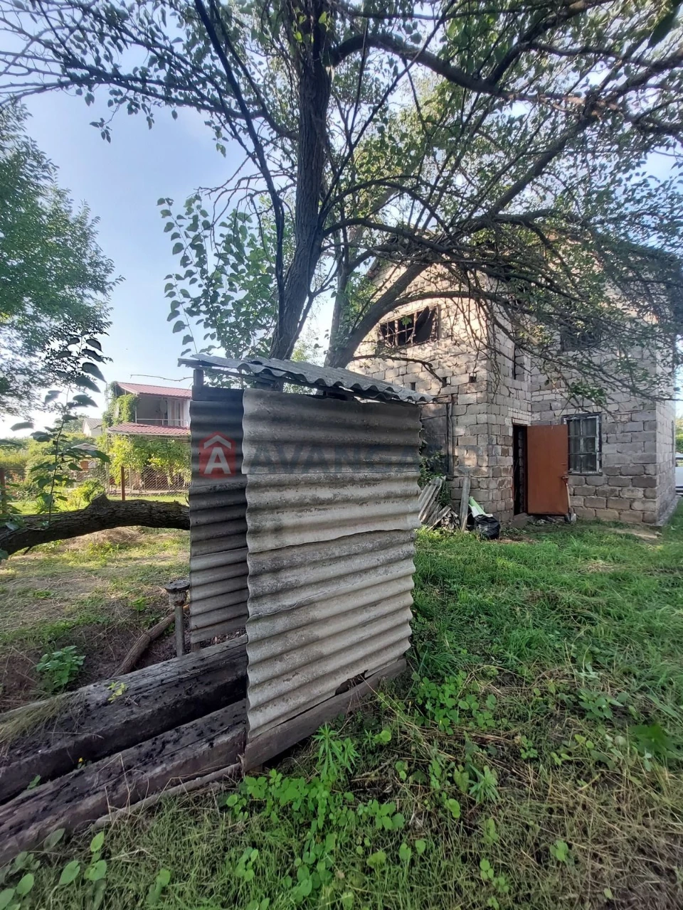 Дача в сосновому лісі