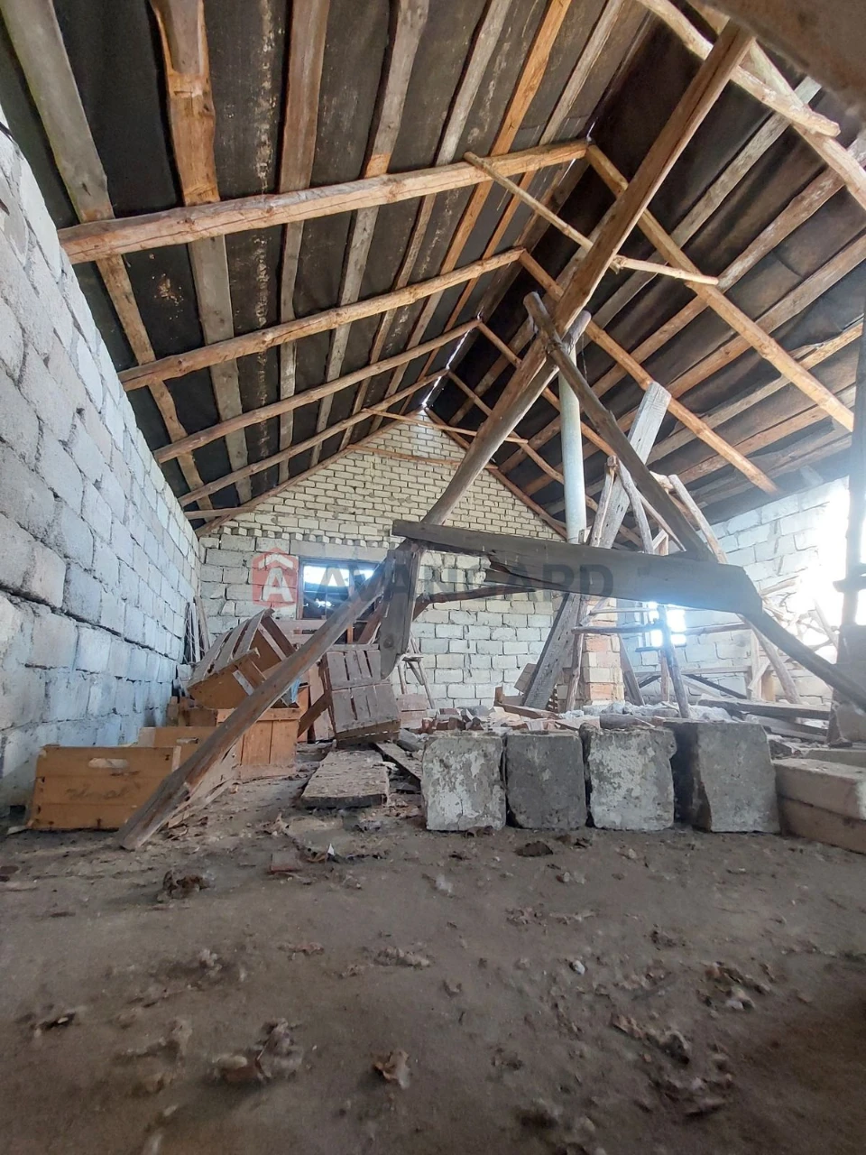 Дача в сосновому лісі