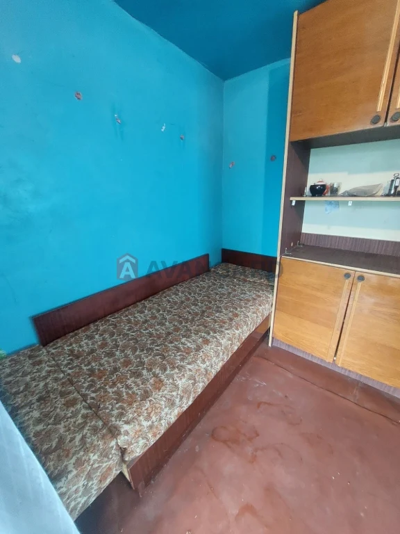 Дача біля соснового лісу