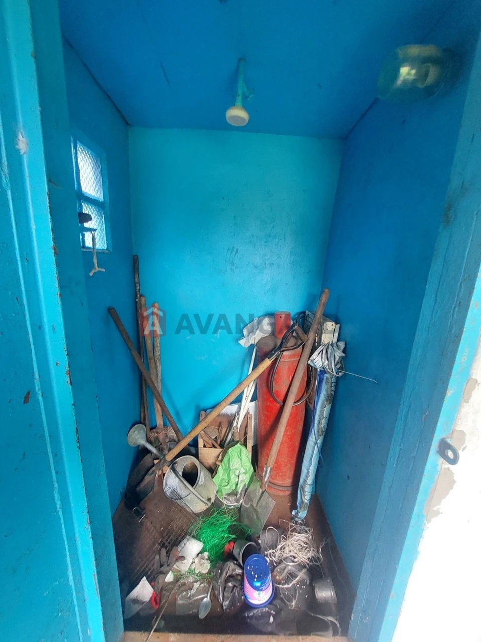 Дача біля соснового лісу