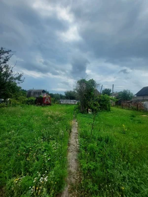 Дача біля соснового лісу