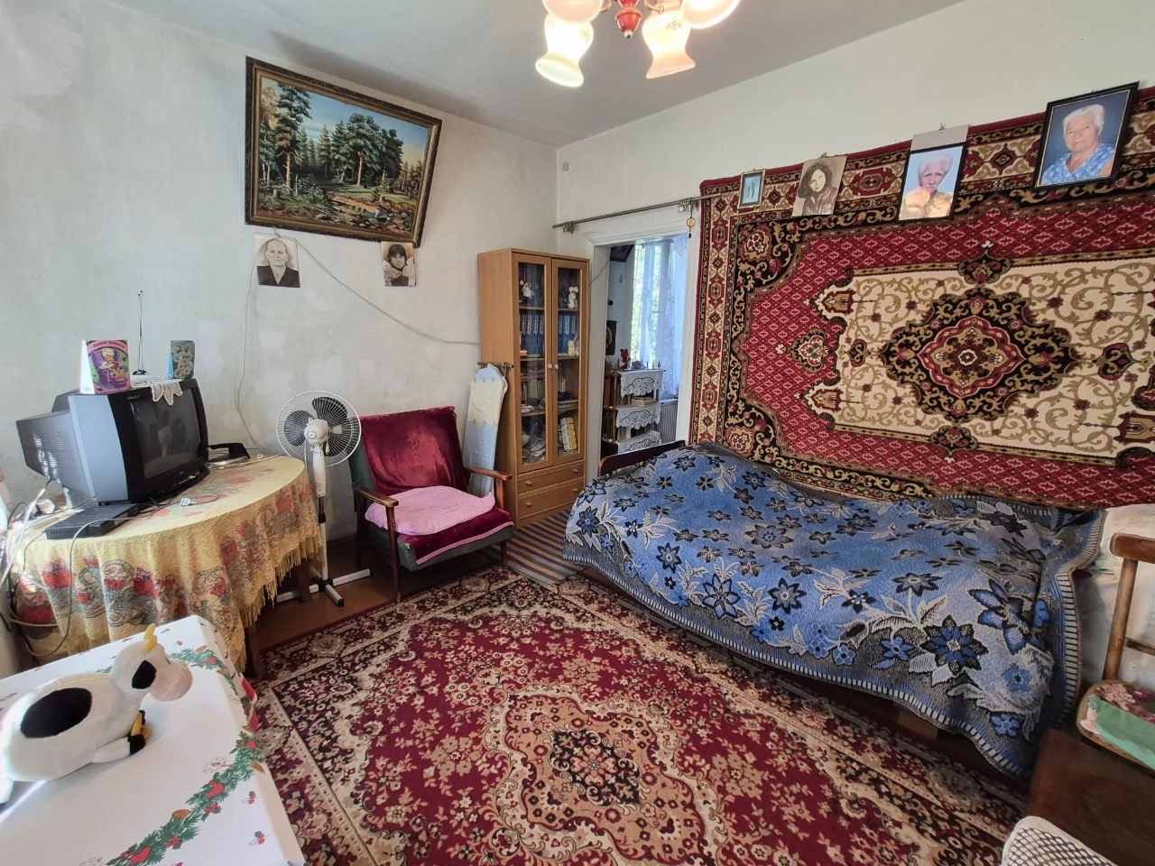 For Sale Large House in Ukraine Area