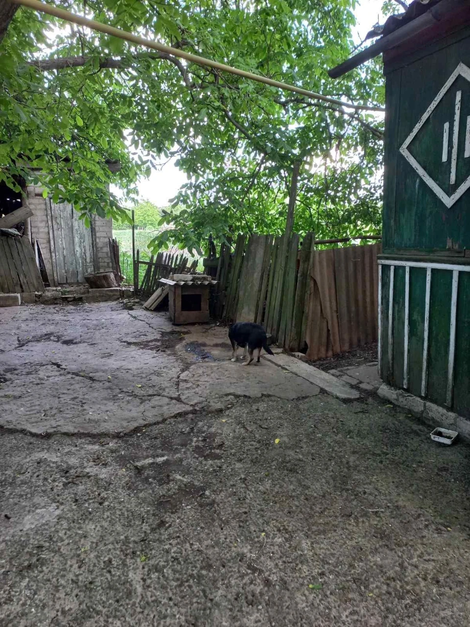 Продаж будинку Божедарівка