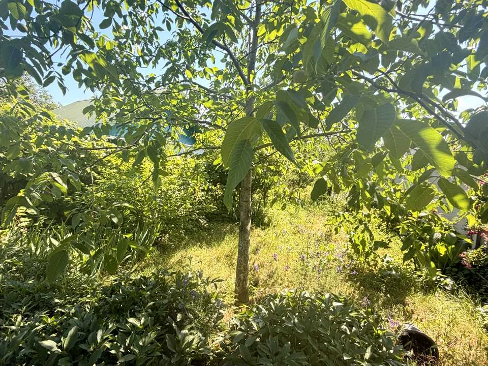 Будинок. Кам'янське, Кам'янське (Дніпродзержинськ), Романків