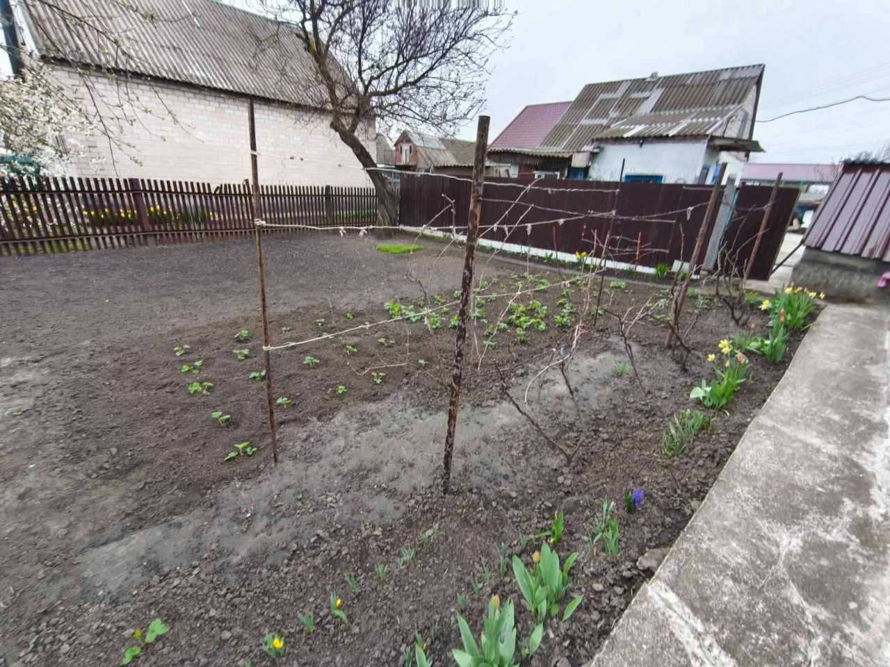 Продам дом в тихом месте